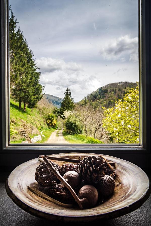 Kuninez, Holiday Home With Summer Kitchen Мост-на-Сочі Екстер'єр фото